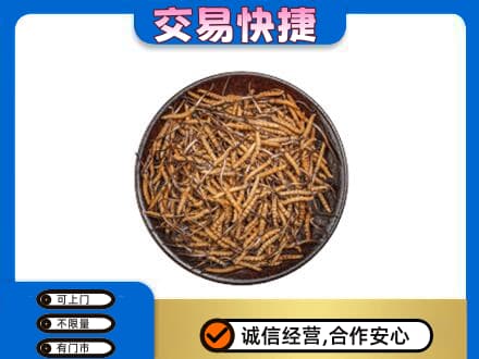 大连市沙河口高价回收散虫草